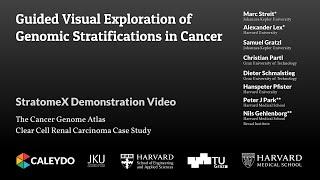 Guided Visual Exploration of Genomic Stratifications in Cancer