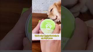 PawSono dog paw balm only $9.9 on AMZ #pawsono #pawsonopet #doglovers #pets #dogs #dogmom #husky