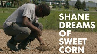 Shane Dreams of Sweet Corn | Episode 2