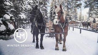 Winter Season at Lone Mountain Ranch