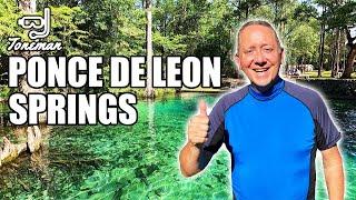 Snorkeling at Ponce De Leon Springs... I Wasn't Expecting This!! 