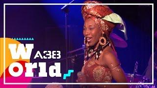 A38 World // Full world music gigs from A38 Ship Budapest