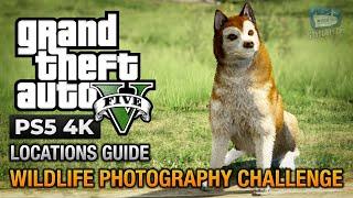 GTA 5 PS5 - Wildlife Photography Challenge (How to unlock the Kraken Submarine)