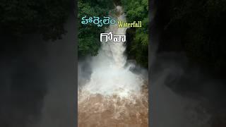 హార్వలెం Waterfall..గోవా..#telugu #telugutraveller #naaanveshana #telugutravelvlogs