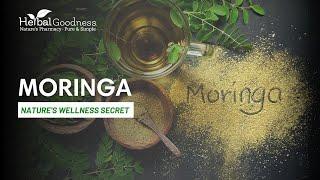 Moringa Benefits: Ancient Superfood for Natural Wellness | Herbal Goodness Liquid Extract