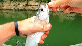 ULTRALIGHT Fishing For Catfish Bait + Targeting Catfish at Night From a Jon Boat