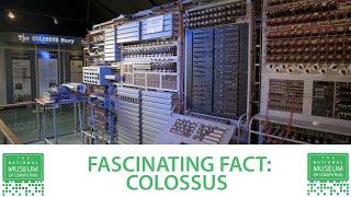 Fascinating Fact | Colossus