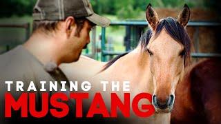 Training The Mustang - Horse Shelter Heroes S3E13