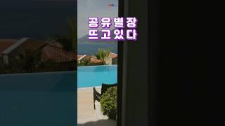 공유별장도 있어