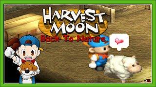 Harvest Moon Back To Nature [021] Wir kaufen uns ein Schaf [Deutsch] Let's Play Harvest Moon