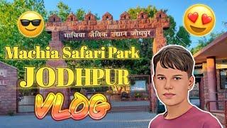 Machiya Biological park Jodhpur // माचिया सफ़ारी पार्क जोधपुर #जोधपुर