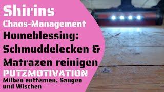 Homeblessing: Schmuddelecken & Matratzen reinigen | Flylady Putzmotivation | Genius Invictus X9