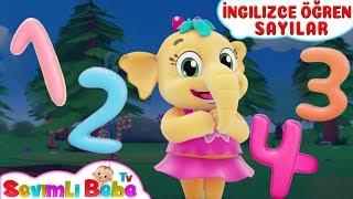 İngilizce Öğren Sayılar-Çocuk Şarkılar |Sevimli Emmie Çizgi Film Bebek Şarkıları 2018 |SevimliBebeTV