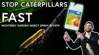 How to STOP Caterpillars from Eating your Plants! Monterey Garden Insect Spray Review