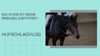 Wie stark ist meine Bindung zum Pferd?