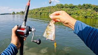 4 Hours of RAW and UNCUT Kayak Catfishing on Fort Loudon Reservoir