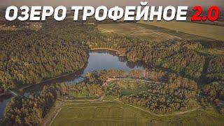 Обзор Трофейное 2.0 | Карпфишинг в лесу