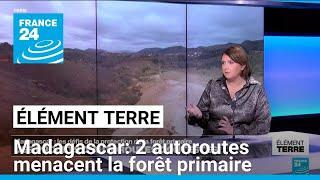 Madagascar: la construction de 2 autoroutes menace la forêt primaire • FRANCE 24