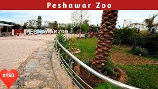 Peshawar Zoo #NHTraveller