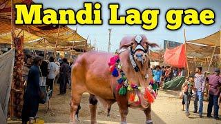 Karachi mandi details | Karachi me mandi lag gae hain | hamara area me mandi lag gae hain