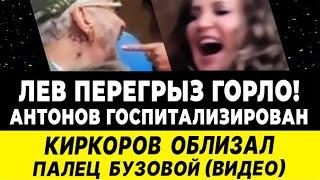 ТРАГЕДИЯ: растерзал лев! АНТОНОВ ГОСПИТАЛИЗИРОВАН! Киркоров облизывает палец Бузовой