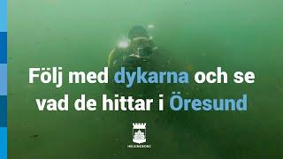 Följ med dykarna och se vad de hittar i Öresund