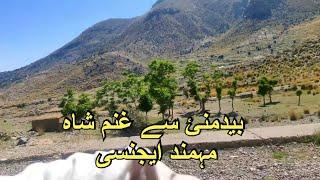 Bedmanai se Ghanam Shah Mohmand Agency