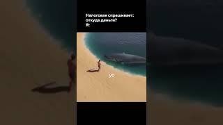 Не бойся налоговую! Читай описание