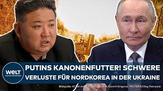 UKRAINE: Putins Kanonenfutter! Selenskyj verkündet schwere Verluste für nordkoreanische Soldaten