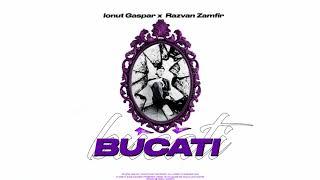 Ionut Gaspar Feat. Razvan Zamfir - BUCATI