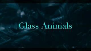 Toes-Glass Animals (Lyrics)