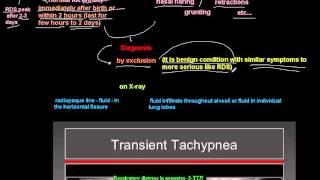 respiratory distress in neonates -3- (TTN)