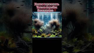 Хватит переживать за рыбок