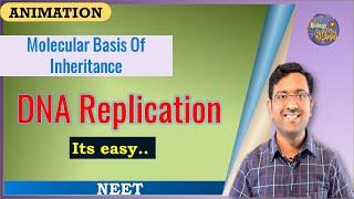 DNA Replication explained easily  I Biology for NEET and AIIMS