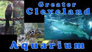 A visit To The Greater Cleveland Aquarium and The Shark Seatube Exhibit