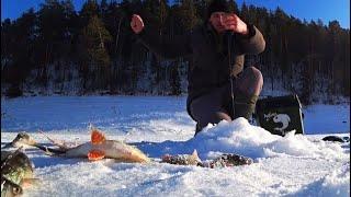 НАШЛИ СТАЮ И ДАВАЙ ДУБАСИТЬ ТОЛЬКО УСПЕВАЙ ОПУСКАЙ! рыбалка в Сибири