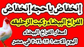 اسعار الفراخ البيضاء اليوم/ سعر الفراخ البيضاء اليوم الاحد ١-١٢-٢٠٢٤ في مصر جمله وقطاعي