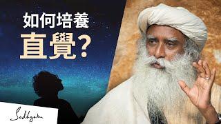 如何培養直覺‍️？| Sadhguru (薩古魯)