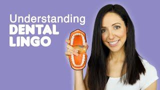 Dental Terminology (How To Understand Your Dentist)