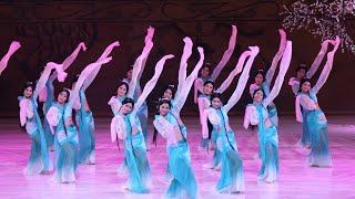 Caiwei, traditional Chinese dance from 'Confucius' drama | 中国歌剧舞剧院 舞剧《孔子》——采薇舞