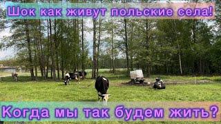 Просто Шок как живут польские села.Когда мы так будем жить!