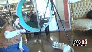 Video: Don't Stress Meowt cat café holds grand opening in Tulsa