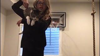 Me vs my cat gymnastics competition #twinlife