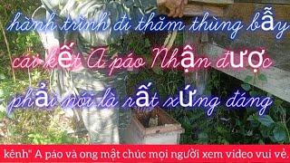 hành trình đi thăm thùng bẫy ong" A páo" nhận được kết quả rất xứng đáng.