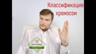 Классификация хромосом. ЕГЭ Биология. ЕГЭ 2022.