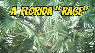 EVER SEEN A FLORIDA "RAGE"??