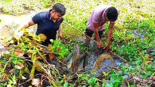 Fishing video || Skilled boys are fishing in the village field || Amazing hand fishing