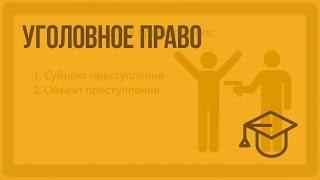 Уголовное право. Видеоурок по обществознанию 10 класс