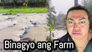 Binagyo ang Farm.