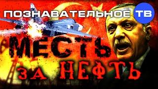 Месть за нефть. Почему Турция сбила российский самолёт? (Познавательное ТВ, Артём Войтенков)